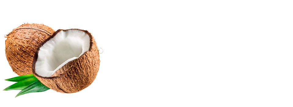 日本初のココナッツ専門店